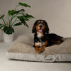 Harvard Memory Foam Mattress - Pearl Grey Dog Bed Scruffs® 
