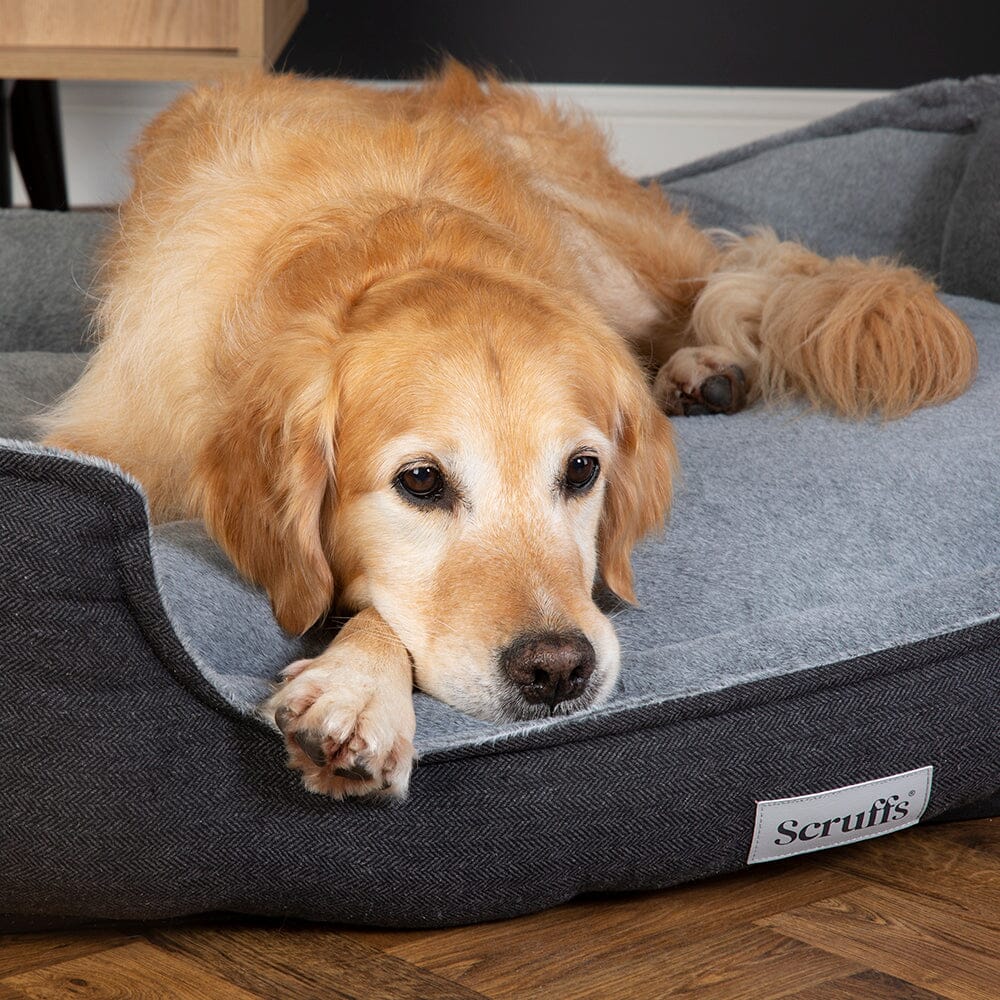 Harvard Memory Foam Dog Box Bed Grey Dog Beds petslovescruffs