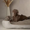 Harvard Memory Foam Box Bed - Pearl Grey Dog Bed Scruffs® 