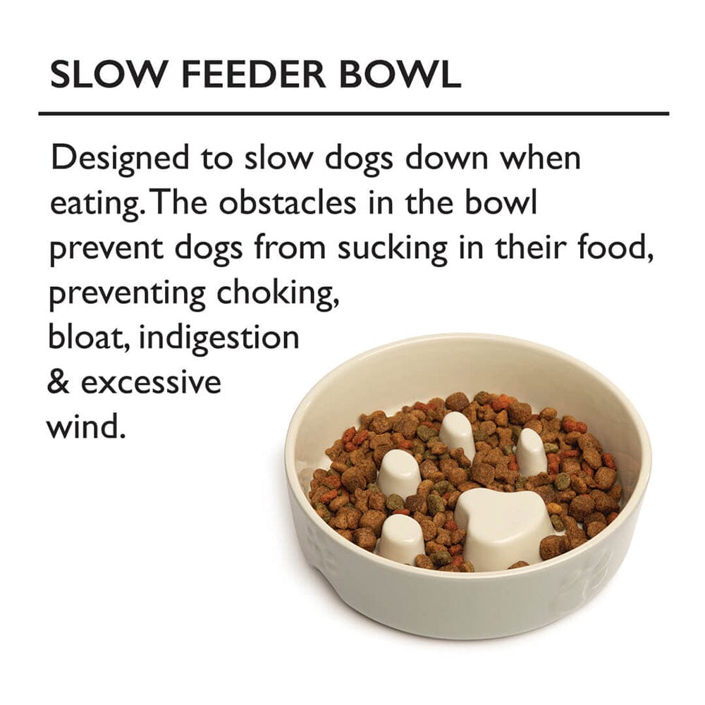 Icon 2 Piece Dog Slow Feeder Water Bowl Set 20cm Cream petslovescruffs