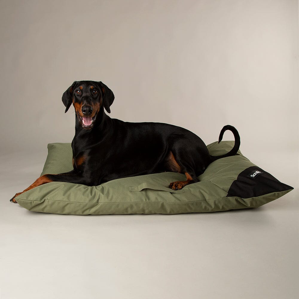 Expedition Memory Foam Orthopaedic Dog Bed Pillow - Khaki Green Dog Bed Scruffs® 