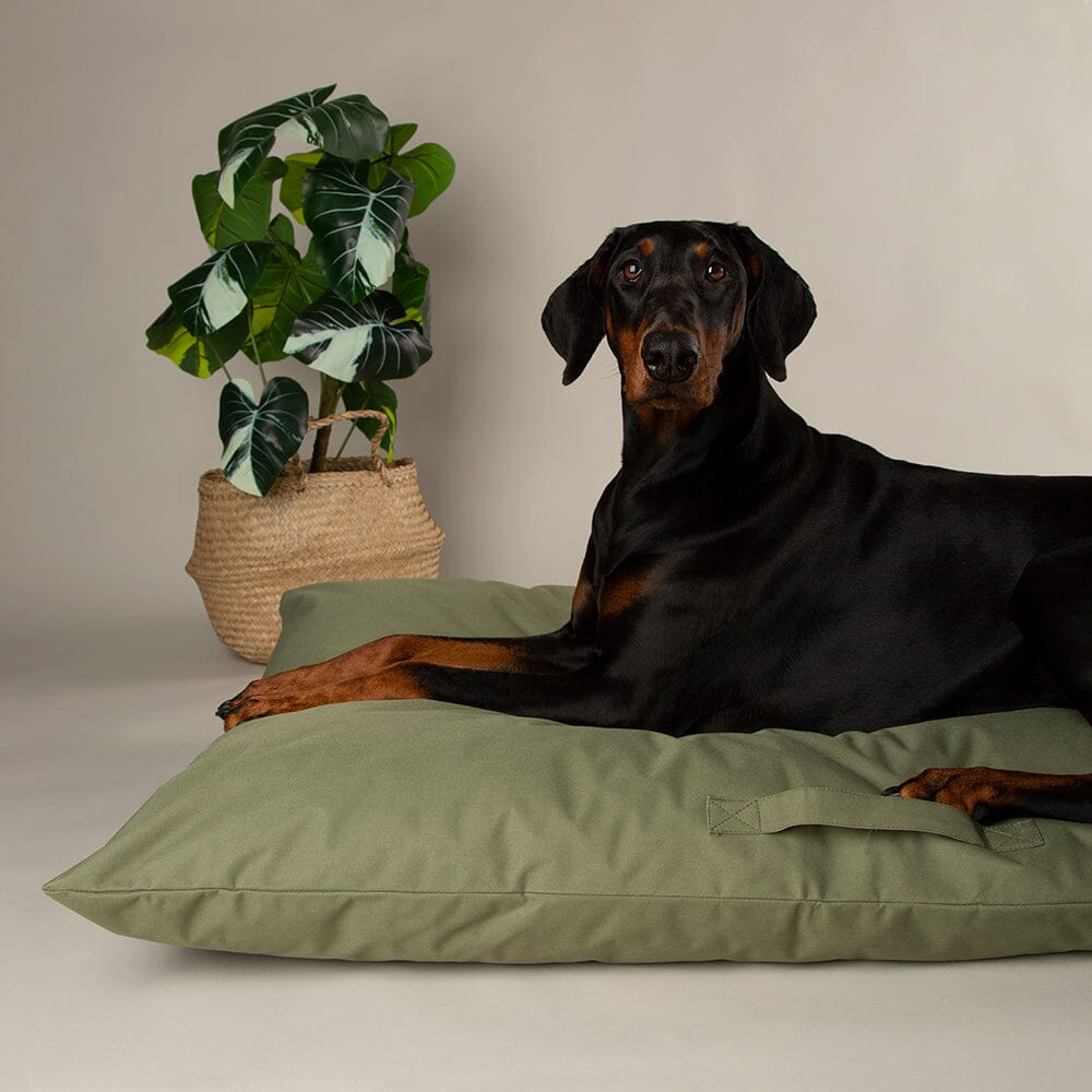 Expedition Memory Foam Orthopaedic Dog Bed Pillow - Khaki Green Dog Bed Scruffs® 