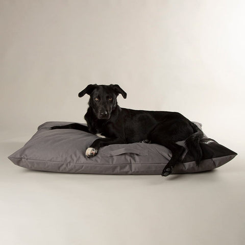 Expedition Memory Foam Orthopaedic Dog Bed Pillow - Storm Grey Dog Bed Scruffs® 