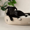 Eden Box Bed - Cream Dog Beds Scruffs® 