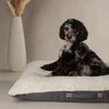 Eden Pillow Bed - Charcoal Grey Dog Beds Scruffs® 