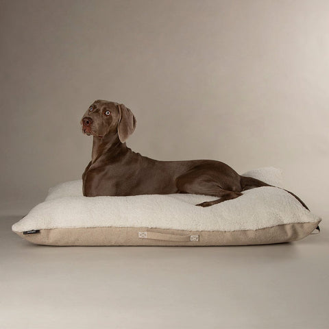 Eden Pillow Bed - Cream Dog Beds Scruffs® 