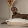 Eden Pillow Bed - Cream Dog Beds Scruffs® 