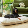 Eden Pillow Bed - Cream Dog Beds Scruffs® 