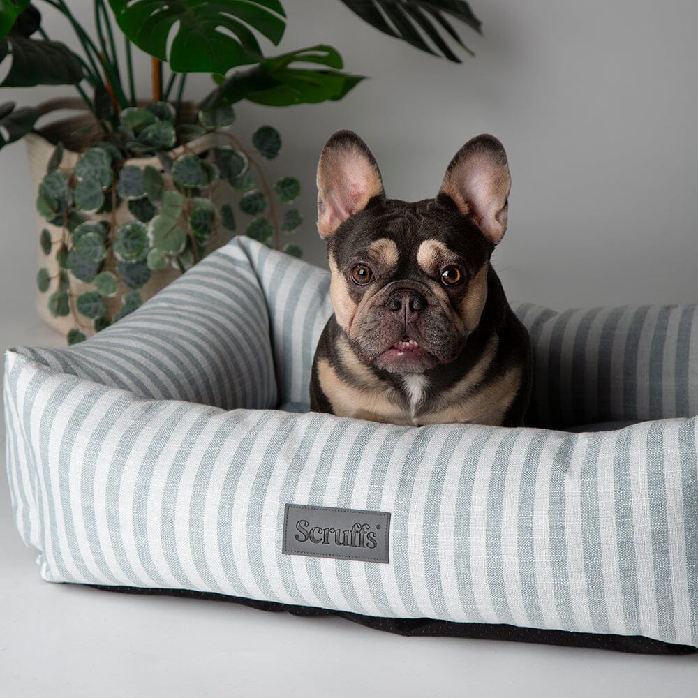 Coastal Box Bed - Green Dog Beds Scruffs® 