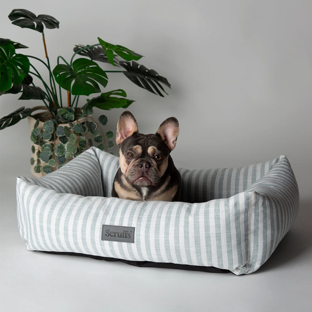 Coastal Box Bed - Green Dog Beds Scruffs® 