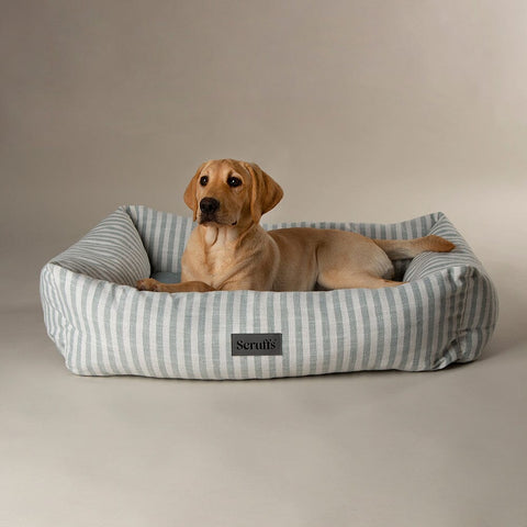Coastal Box Bed - Green Dog Beds Scruffs® 