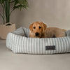 Coastal Box Bed - Green Dog Beds Scruffs® 