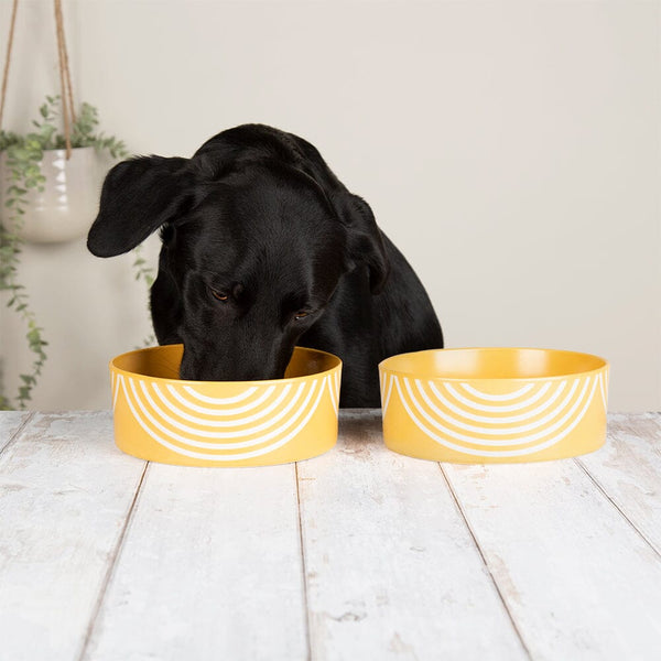 Aztec Dog Bowl Set Yellow Pet Bowls Scruffs petslovescruffs
