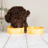 Aztec 2 Piece Dog Food & Water Bowl Set - Sunflower Yellow Pet Bowls, Feeders & Waterers Scruffs® 15 x 15 x 5cm | 0.5L 
