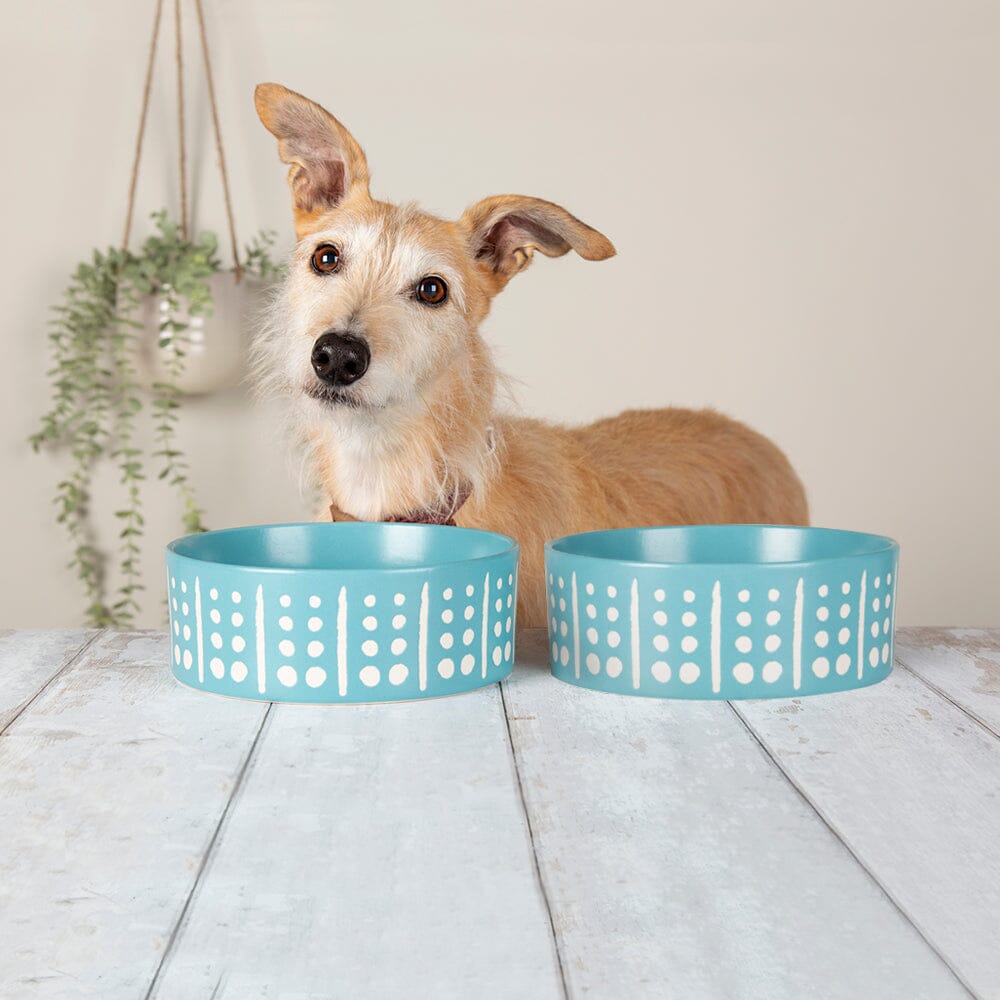 Great Small Penrose Teal Stoneware Pet Bowl