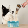 Aztec 2 Piece Dog Food & Water Bowl Set - Turquoise Blue Pet Bowls, Feeders & Waterers Scruffs® 