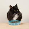 Aztec 2 Piece Cat Food Bowl & Saucer Set - Turquoise Blue Pet Bowls, Feeders & Waterers Scruffs® 