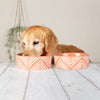 Aztec 2 Piece Dog Food & Water Bowl Set - Terracotta Orange Pet Bowls, Feeders & Waterers Scruffs® 19 x 19 x 8cm | 1.6L 