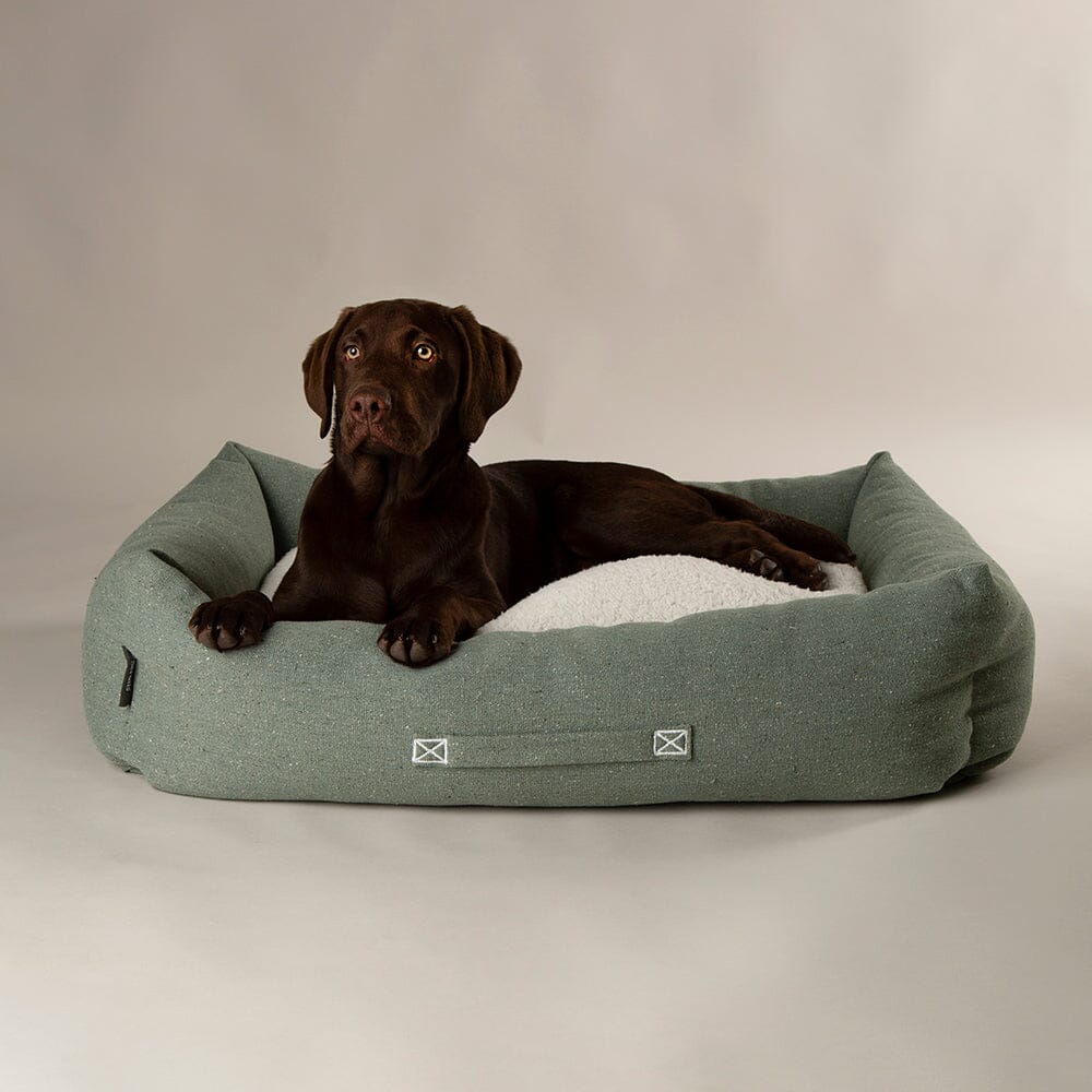 Eden Box Bed - Sage Green Dog Beds Scruffs® 