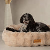 Alpine Dog Bed - Large Dog Bed - Box Bed - Winnie a cockapoo