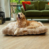 Alpine Mattress - Champagne Dog Beds Scruffs® 