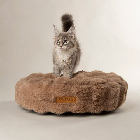 Alpine Cat Bed - Taupe Cat Bed Scruffs® 