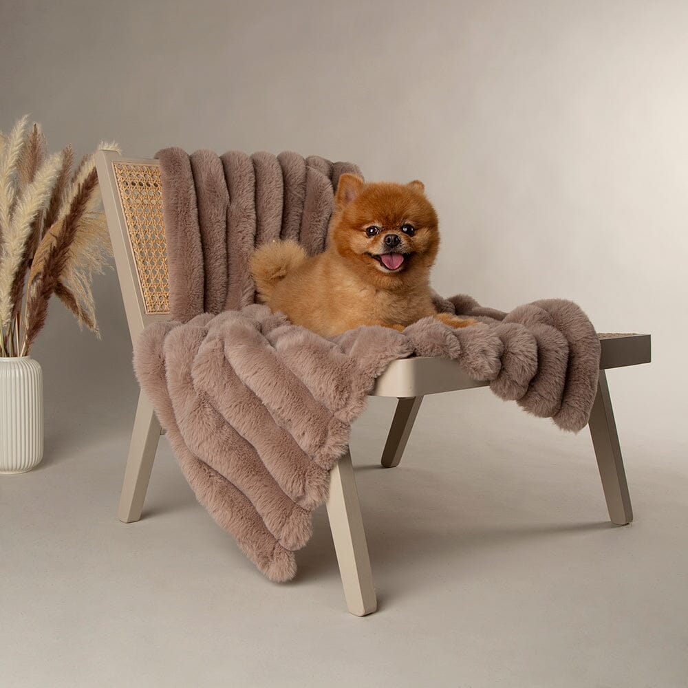 Aspen Pet Blanket - Taupe Dog Blanket Scruffs® 