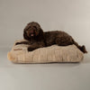 Oxford Orthopaedic Mattress - Tan Dog Bed Scruffs® 