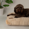 Oxford Orthopaedic Mattress - Tan Dog Bed Scruffs® 