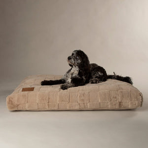 Oxford Orthopaedic Mattress - Camel Dog Bed Scruffs® 