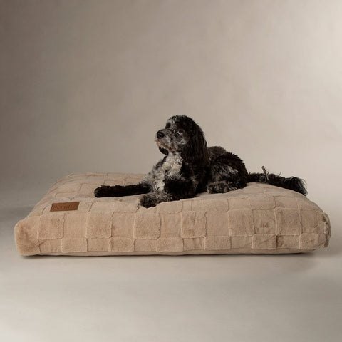 Oxford Orthopaedic Mattress - Camel Dog Bed Scruffs® 