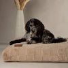 Oxford Orthopaedic Mattress - Camel Dog Bed Scruffs® 