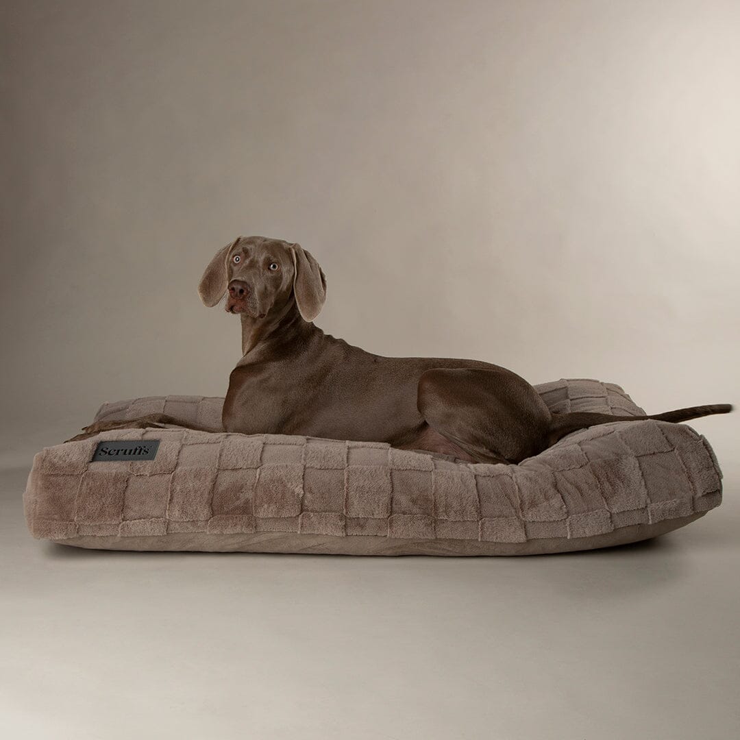 Oxford Orthopaedic Mattress - Silver Dog Bed Scruffs® 