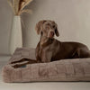 Oxford Orthopaedic Mattress - Silver Dog Bed Scruffs® 