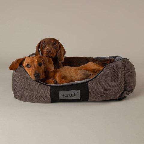 Chester Box Dog Bed - Graphite Grey Dog Bed Scruffs® 