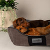 Chester Box Dog Bed - Graphite Grey Dog Bed Scruffs® 