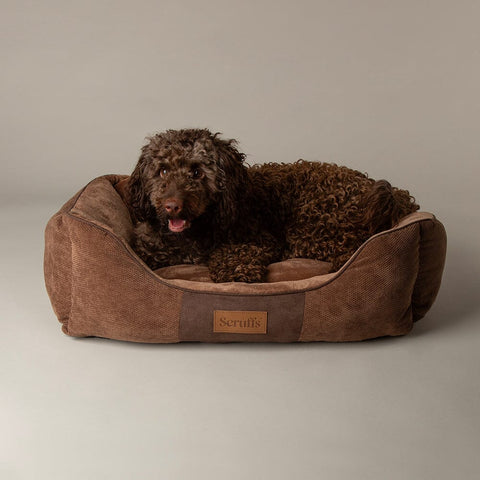 Chester Box Dog Bed - Chocolate Brown Dog Bed Scruffs® 