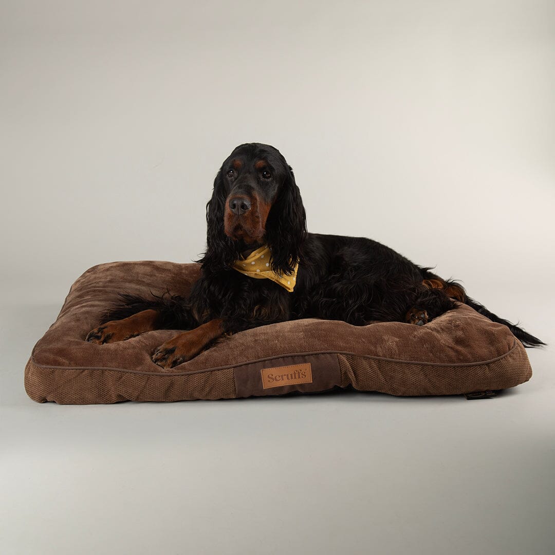 Chester Mattress - Chocolate Brown Dog Bed Scruffs® 