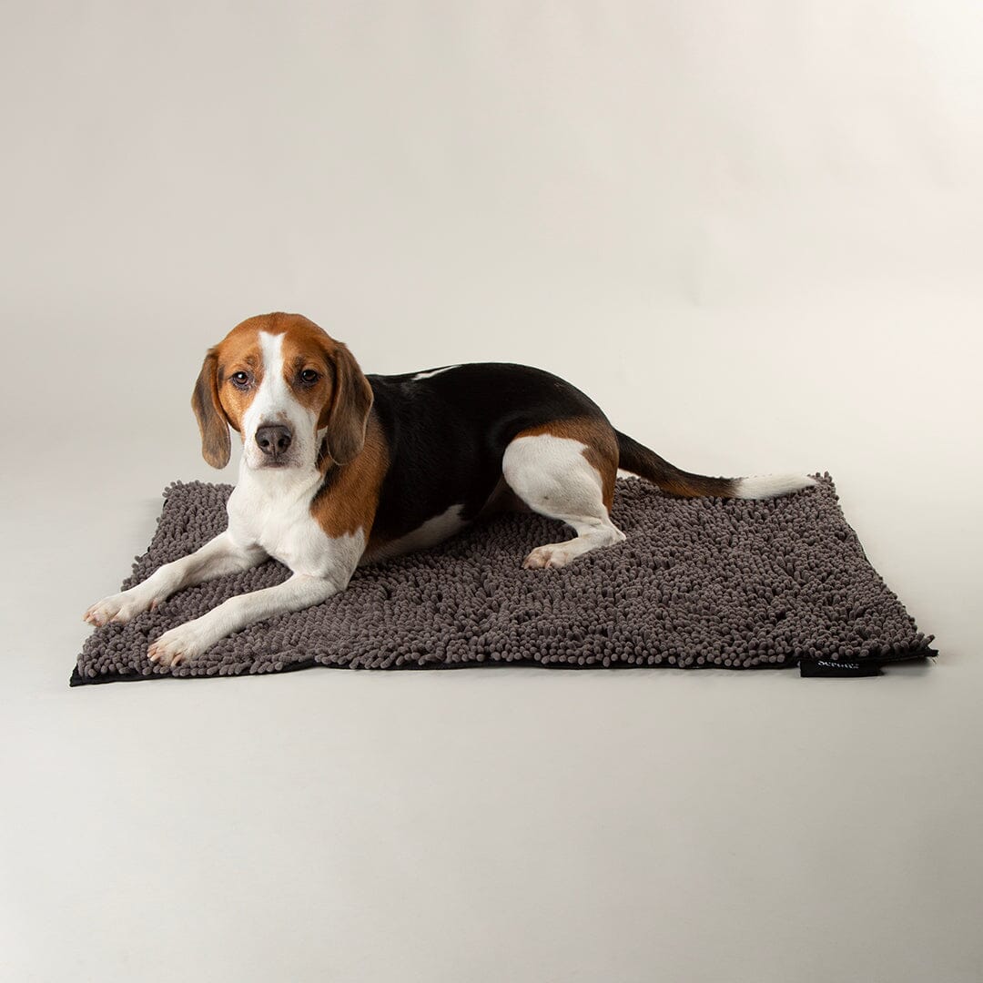 Noodle Dry Mat - Graphite Dog Mat Scruffs® 