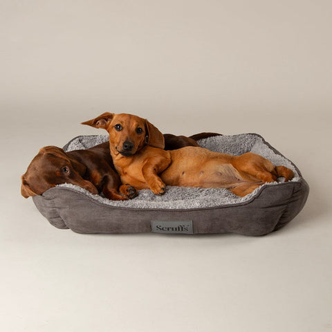Cosy Soft-Walled Dog Bed - Grey Dog Bed Scruffs® 