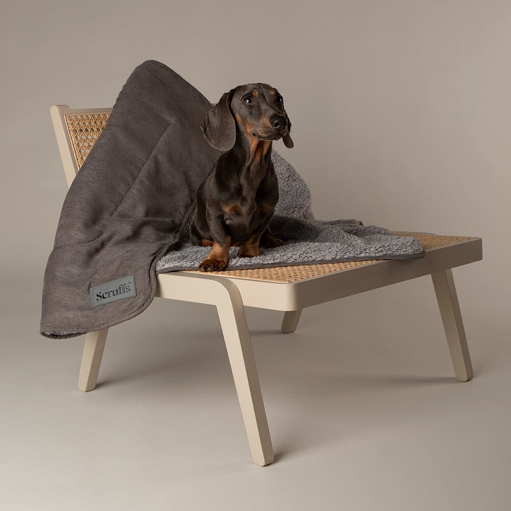 Cosy Dog Blanket - Grey Dog Blanket Scruffs® 