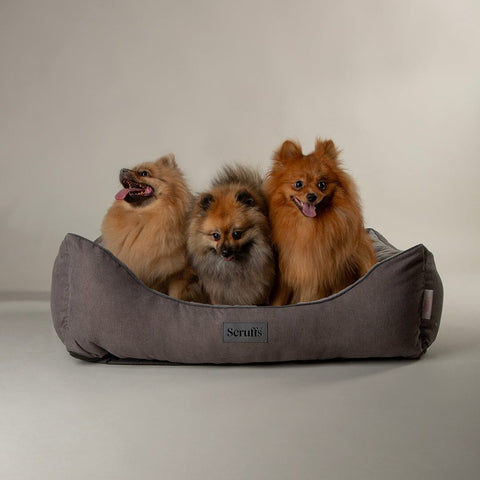 Thermal Box Bed - Grey Dog Bed Scruffs® 