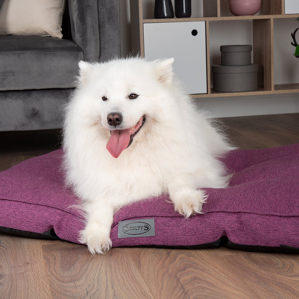 Manhattan Dog Mattress Purple Dog Beds Scruffs petslovescruffs