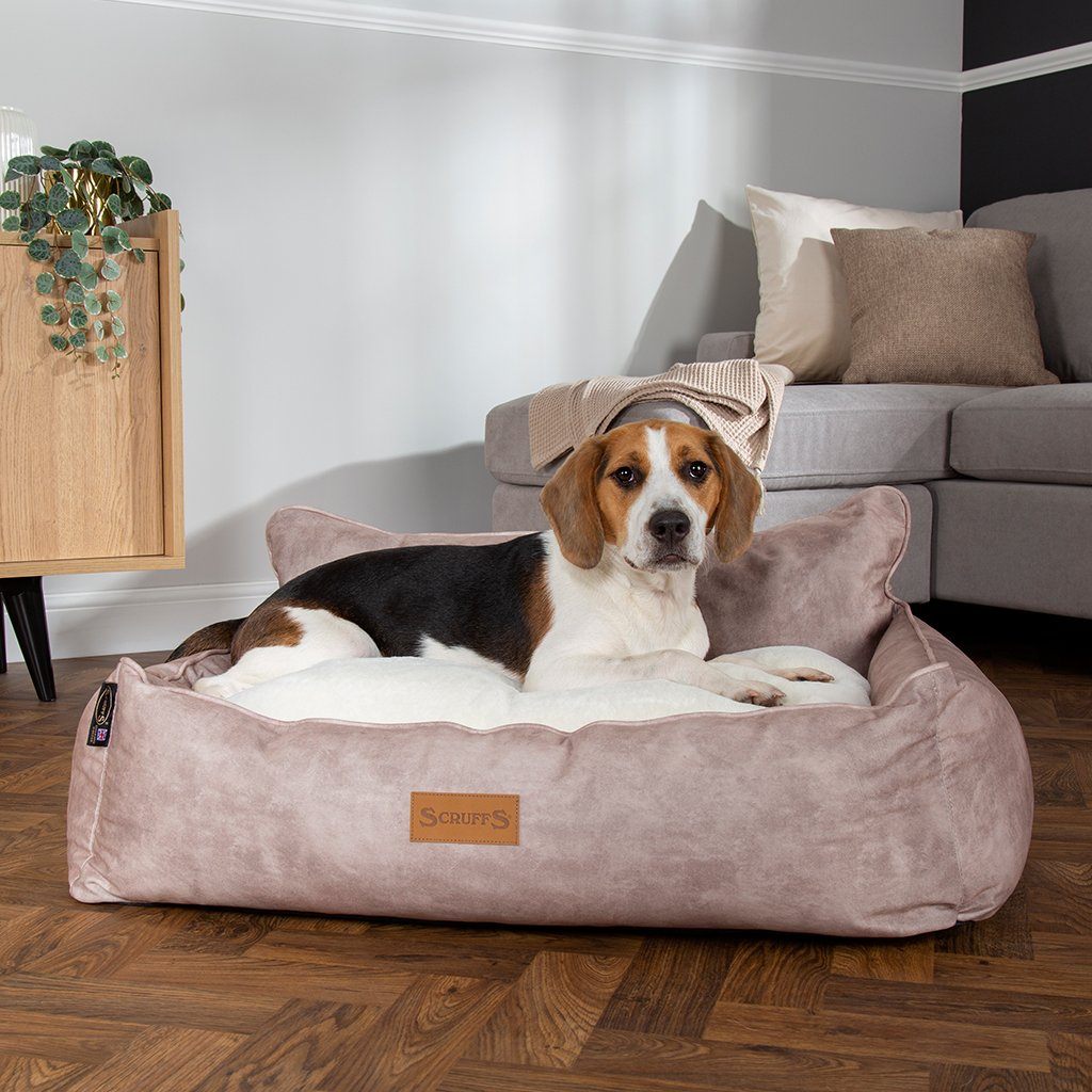 Kensington Dog Box Bed Cream Dog Beds Scruffs petslovescruffs