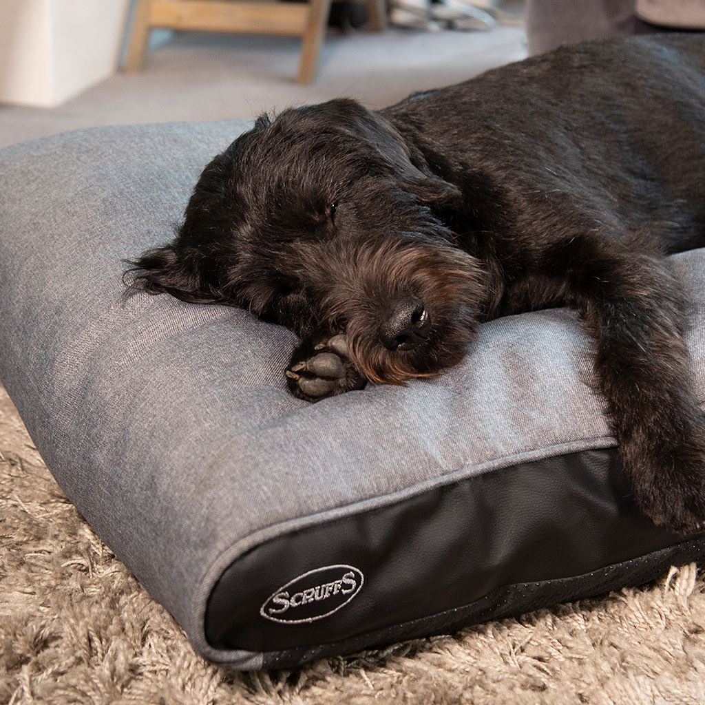 Scruffs hilton memory foam sales