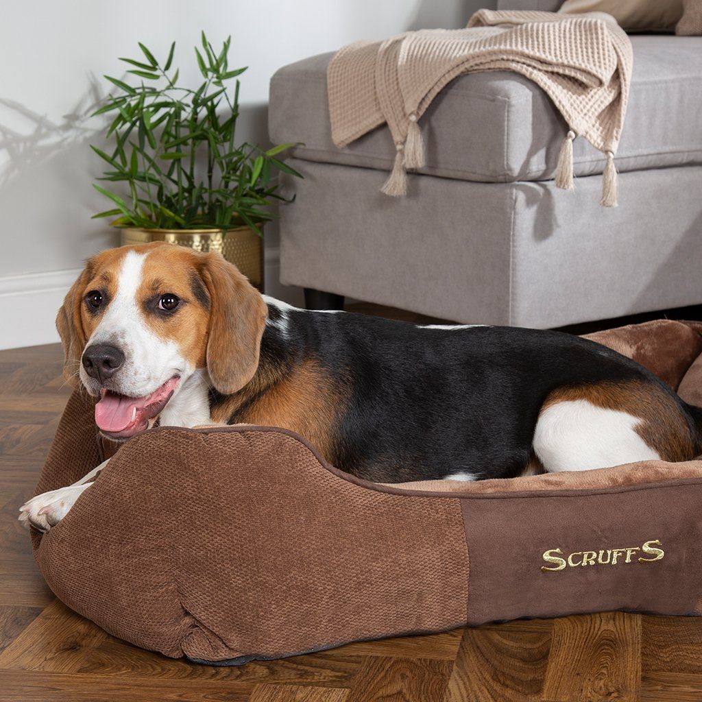 Chester Box Dog Bed - Chocolate Brown Dog Bed Scruffs® 