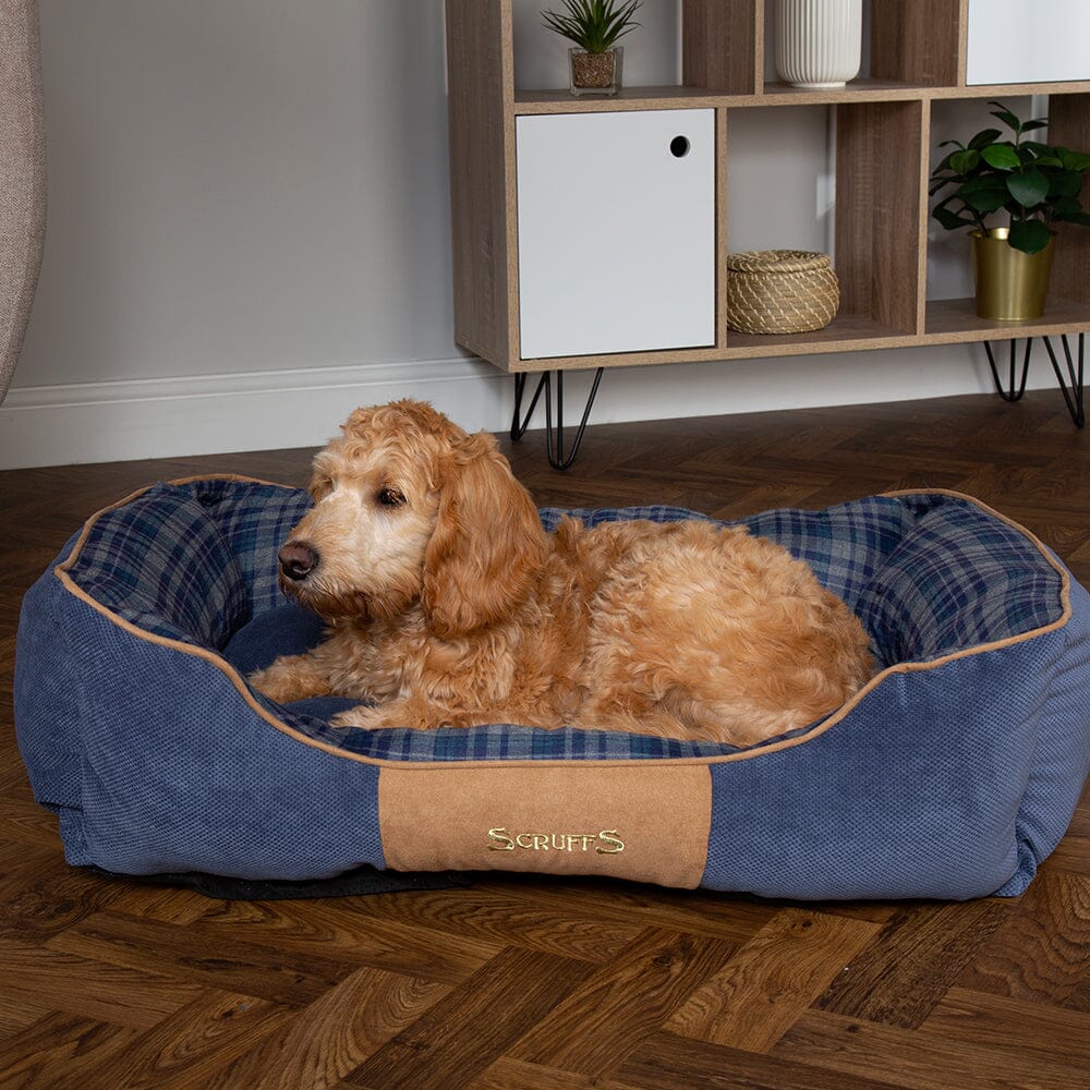 Blue Dog Bed Box Highland Tartan Dog Beds Scruffs petslovescruffs