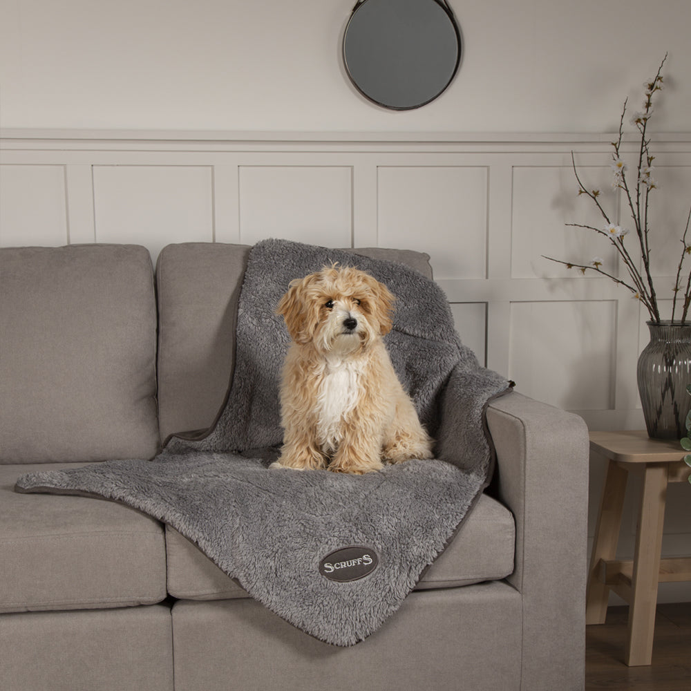 Cosy Dog Blanket - Grey Dog Blanket Scruffs® 