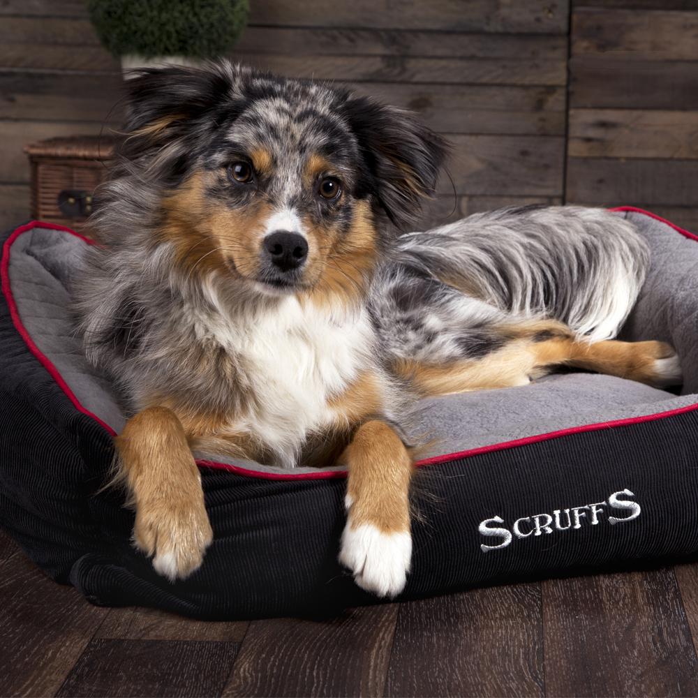 Warm Dog Bed Thermal Box Beds Self Heating petslovescruffs