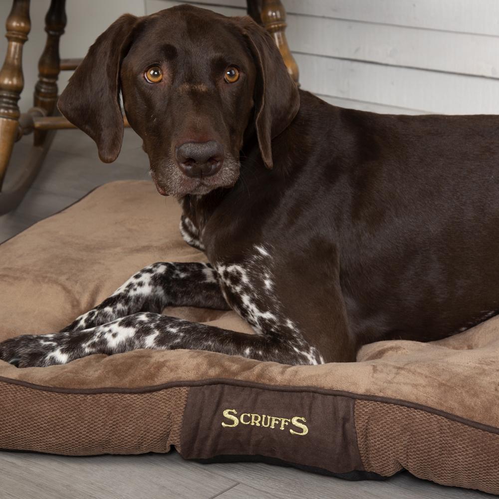 Chester Mattress - Chocolate Brown Dog Bed Scruffs® 